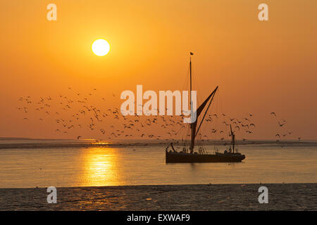 Swale Estuary, Kent, UK. 17th July 2015: UK Weather. Birds flock at sunrise over the Thames sailing barge 'Orinoco' moored near the entrance to Faversham creek as another warm summers day starts. The Orinoco was built in 1895 and is one of only a handful of seaworthy Thames sailing barges left, and is available for private charter Credit:  Alan Payton/Alamy Live News Stock Photo