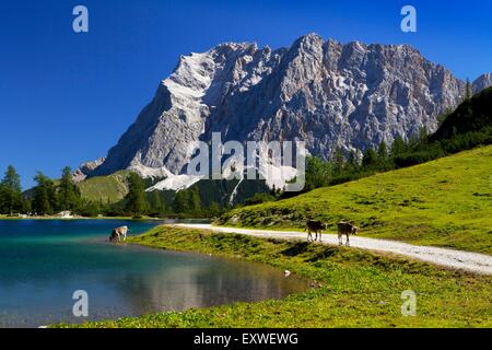 Seebensee with Zugspitze, Tyrol, Austria Stock Photo