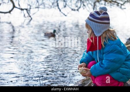 Girl feeding ducks in winter Stock Photo