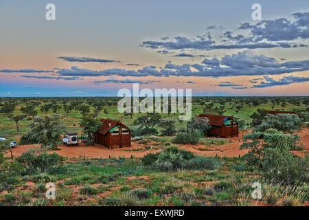 Kgalagadi Transfrontier Park, Kalahari, South Africa, Botsuana Stock Photo