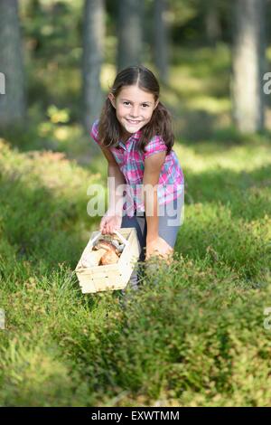 Girl collecting mushrooms in a pine forest Stock Photo