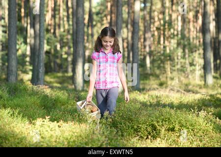 Girl collecting mushrooms in a pine forest Stock Photo