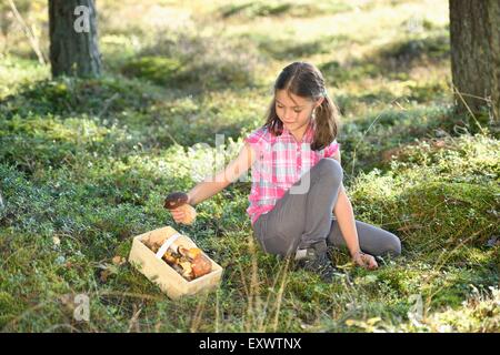 Girl collecting mushrooms in a pine forest Stock Photo