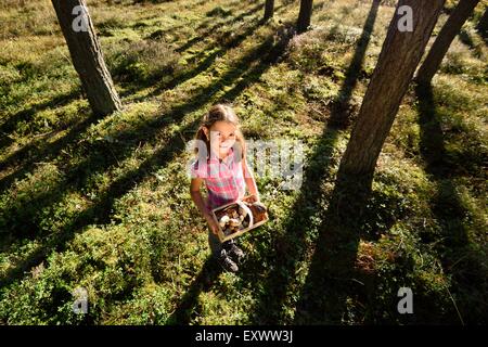 Girl collecting mushrooms in a pine forest Stock Photo