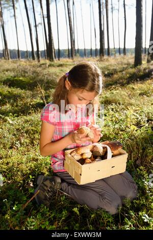 Girl collecting mushrooms in a pine forest Stock Photo