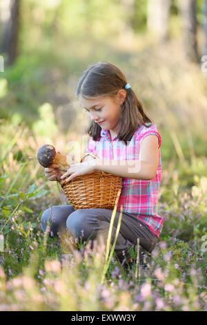 Girl collecting mushrooms in a pine forest Stock Photo