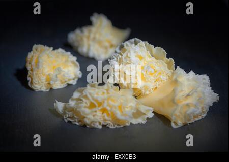 Testa di formaggio Tete de moine su Girolle isolato su sfondo bianco Foto  stock - Alamy