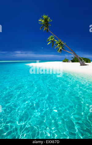 Amazing beach on a tropical island with palm trees overhanging lagoon Stock Photo