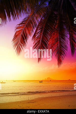 Beautiful sunset over beach, summer holidays background. Stock Photo