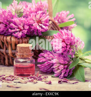 Bottle of elixir or essential oil and clover in basket. Retro stylized. Stock Photo