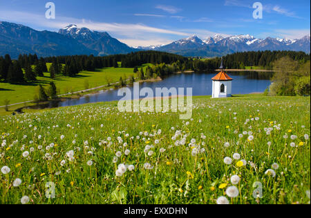 panorama landscape in Bavaria with alps mountains, lake, meadow and little chapel Stock Photo
