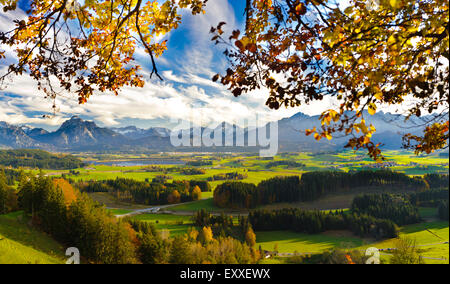 panorama landscape in Bavaria with alps mountains, meadows and beech tree at autumn Stock Photo