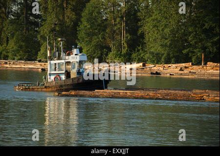 Tug Boat pushing log boom down the Fraser River, bordering Vancouver and Richmond, British Columbia Stock Photo