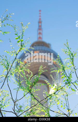 Berlin spring, view of the Fernsehturm tv tower glimpsed through new spring foliage in the Alexanderplatz district of Berlin, Germany. Stock Photo