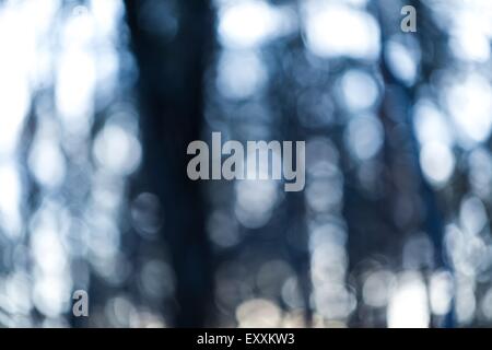 Abstraction of forest blurred background. Colorful defocused picture. Stock Photo