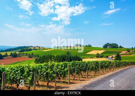Hills covered in vineyards in the Dundee Hills in Oregon wine country Stock Photo