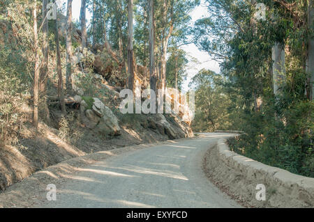 Top of the historic Montagu Pass over the Outeniqua Mountains between Herold and George Stock Photo