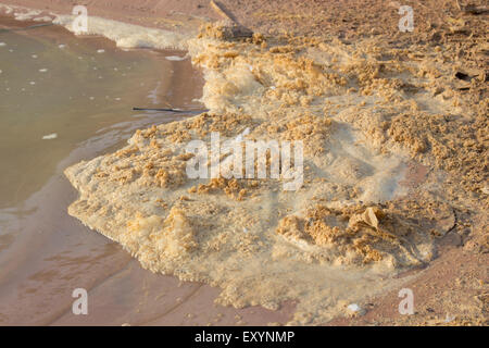 Polluted river water with dirty foam (water pollution) Stock Photo