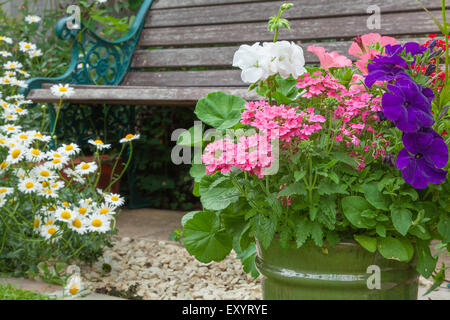 Cottage garden with wooden bench and flowers in containers. Stock Photo