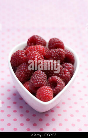 Rubus idaeus 'Autumn Bliss'. Freshly picked raspberries in a bowl on a pink background. Stock Photo