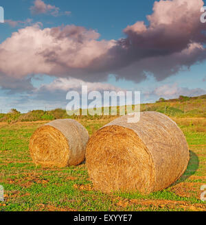 hay bales under a dramatic sky Stock Photo