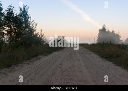 the road passes among trees in morning fog Stock Photo - Alamy