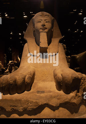 Detail of an Egyptian Sphinx - Ramesside Period Stock Photo