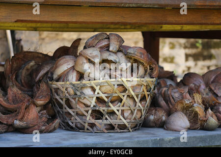 Wooden braided basket full of empty coconut shells. more shells next to the basket, Stock Photo