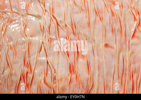 A detailed close-up view of a glossy, textured surface featuring vertical ridges and folds. The material displays a mix of pale pink and off-white tones with subtle orange streaks, creating a marbled Stock Photo