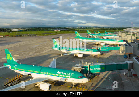 Aer Lingus planes at Dublin Airport, Dublin, Ireland Stock Photo