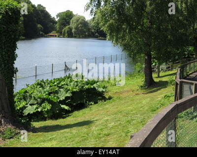 The lake at Harewood House, Nr Leeds, Yorkshire Stock Photo