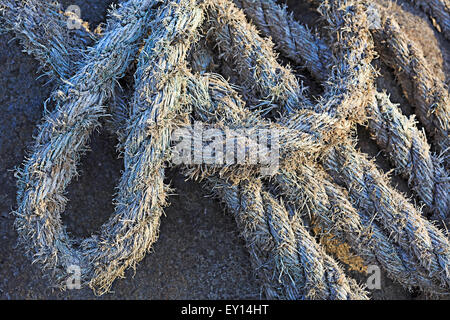 Old frayed mooring rope abandoned on dock, Nanaimo, Vancouver Island, British Columbia Stock Photo