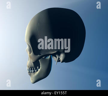 3d Skull isolated on blue background Stock Photo