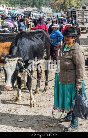 An old native woman selling a cow at livestock market. Otavalo, Ecuador. Stock Photo