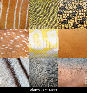 textured of an animals skin Stock Photo