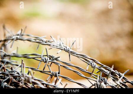 an old rusty barbed wire Stock Photo