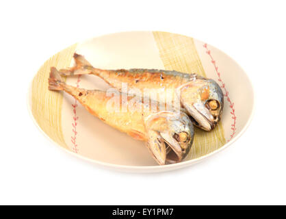 mackerel fried on a dish (thai food) Stock Photo