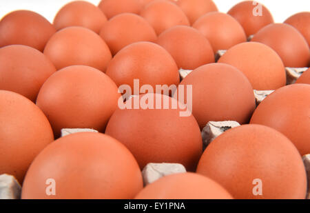 group of eggs in paper tray Stock Photo