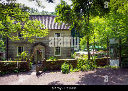 Midge Hall, home to the Falling Foss Tea Garden by the  May Beck Sneaton Forest near Whitby North Yorkshire Stock Photo