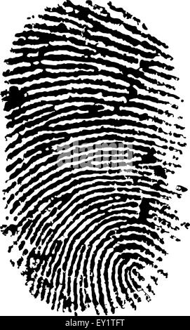 detailed finger print - vector illustration Stock Vector