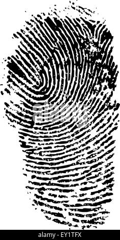 detailed finger print - vector illustration Stock Vector