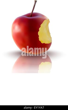 realistic illustration of red apple - vector illustration Stock Vector
