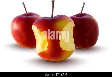 realistic illustration of red apples - vector illustration Stock Vector