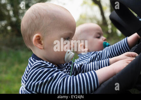 Baby twin brothers with pacifiers playing with their pushchairs Stock Photo