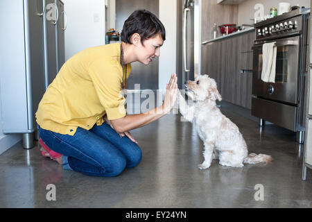 Young woman giving dog a high five in kitchen Stock Photo