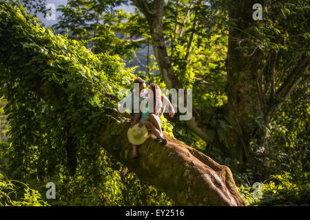 Romantic mid adult couple gazing at each other on tree branch, Kauai, Hawaii, USA Stock Photo