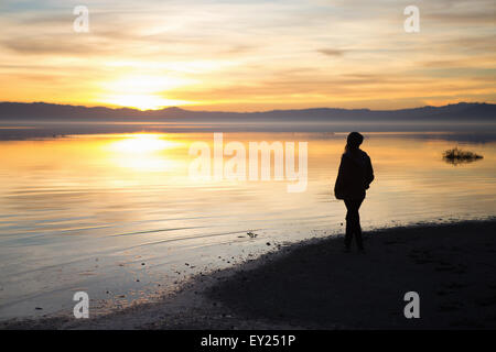 Young woman standing at water's edge, watching sunset, rear view Stock Photo