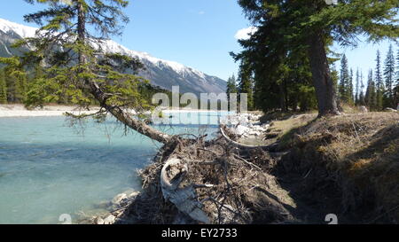 Kootenay river, British Columbia Stock Photo