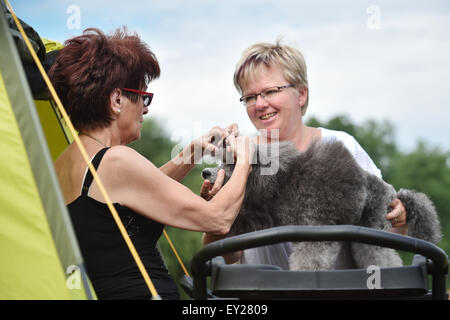 Mlada Boleslav, Czech Republic. 19th July, 2015. Czech National Dog Show 2015 took place in Mlada Boleslav, Czech Republic, July 19, 2015. © Radek Petrasek/CTK Photo/Alamy Live News Stock Photo