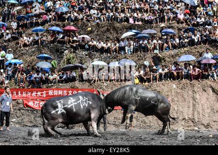 Jianhe, China's Guizhou Province. 20th July, 2015. Two bulls fight fiercely against each other in a bullring in Jianhe County, southwest China's Guizhou Province, July 20, 2015. A Bull King Competition held in the county attracted many audience from the neighboring villages. This competition was part of the Guizhou Jianhe Yangasha Culture Festival in 2015, which was held to commemorate Yangasha, a beautiful lady symbolizing love and life in the legend of Miao ethnic group. Credit:  Liu Xu/Xinhua/Alamy Live News Stock Photo